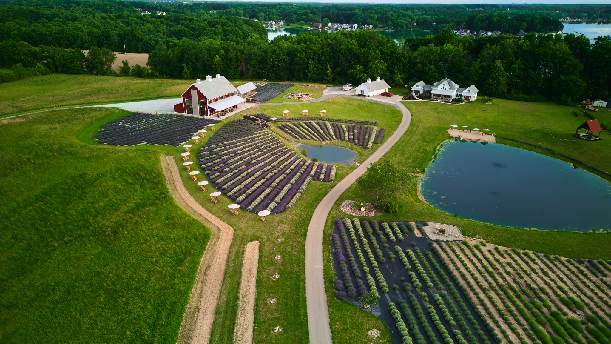The pond from above